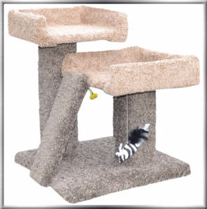 Free Savannah Kitten Tree