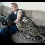 savannah cats ya2c