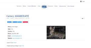 F2 Savannah Kittens