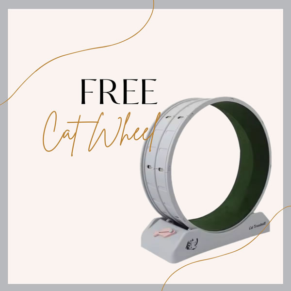 Free cat wheel